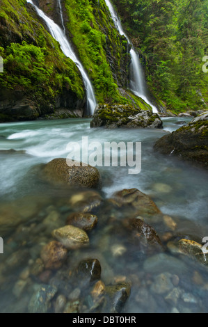 Cascade à côté de la rivière, Boulder Boulder River Wilderness, mont Baker-Snoqualmie National Forest, North Carolina, USA Banque D'Images