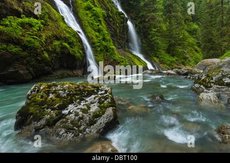 Cascade à côté de la rivière, Boulder Boulder River Wilderness, mont Baker-Snoqualmie National Forest, North Carolina, USA Banque D'Images