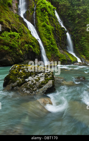 Cascade à côté de la rivière, Boulder Boulder River Wilderness, mont Baker-Snoqualmie National Forest, North Carolina, USA Banque D'Images