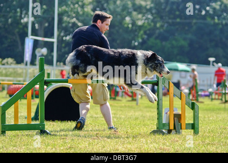 Border Collie sautant à obstacle Agility dog show avec Handler Banque D'Images