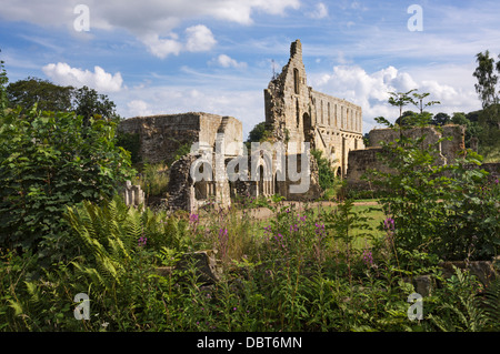 Les ruines de l'abbaye de Jervaulx, Yorkshire du Nord Banque D'Images