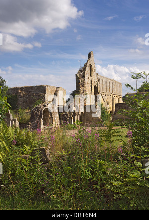 Les ruines de l'abbaye de Jervaulx, Yorkshire du Nord Banque D'Images