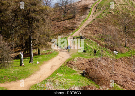 Les promeneurs de chiens et leurs chiens rencontrez ci-dessous Jubilé Hill dans les collines de Malvern, Worcestershire, Angleterre, RU Banque D'Images