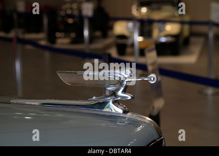 ' Déesse de l' ornement de capot sur capot de Packard 110 berline de luxe 1941 au Franschhoek Motor Museum. Banque D'Images