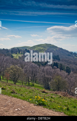 À l'égard de la Camp dans les collines de Malvern, Herefordshire, Angleterre, RU Banque D'Images