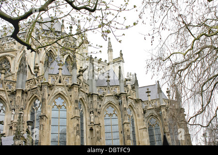 En la cathédrale de Den Bosch. Pays-bas Banque D'Images