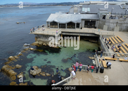 Monterey Bay Aquarium Banque D'Images