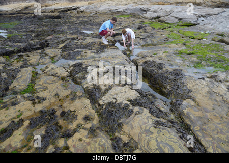 Les adolescents, tidepooling Point Lobos State Parc Naturel, CA Banque D'Images