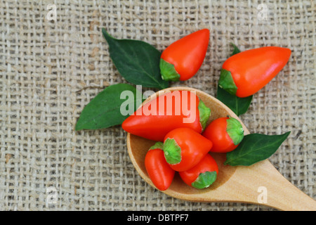 Hot Red Chili Peppers sur cuillère en bois sur le jute surface avec copie espace Banque D'Images