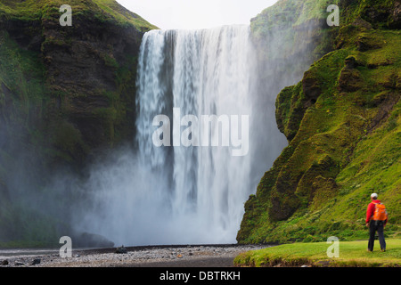 Cascade de Skogafoss, Région du Sud, l'Islande, les régions polaires Banque D'Images