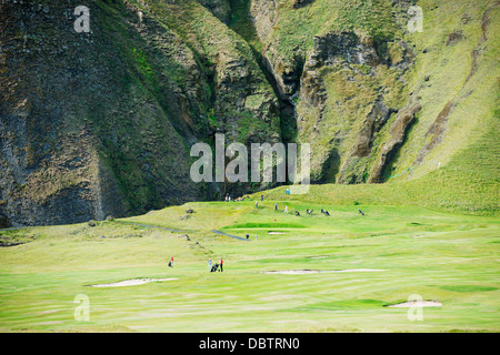 Golf dans un cratère volcanique, l'île de Heimaey, Vestmannaeyjar, les îles Westman, Islande, régions polaires Banque D'Images