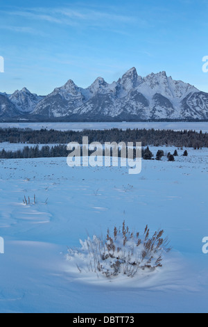 Les Tetons à l'aube après une neige fraîche, Parc National de Grand Teton, Wyoming, États-Unis d'Amérique, Amérique du Nord Banque D'Images