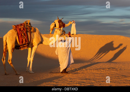 Chameliers réunion dans le Sahara, Douz, Kebili, Tunisie, Afrique du Nord, Afrique Banque D'Images