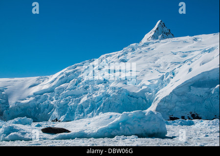Iceberg, Cierva Cove, l'Antarctique, régions polaires Banque D'Images