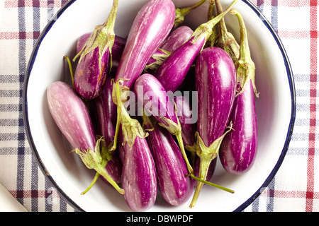 Aubergines violet bébé Banque D'Images