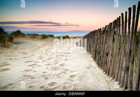 Paysage d'herbe dans les dunes de sable au lever du soleil avec des barrières en bois sous les dunes de sable Banque D'Images