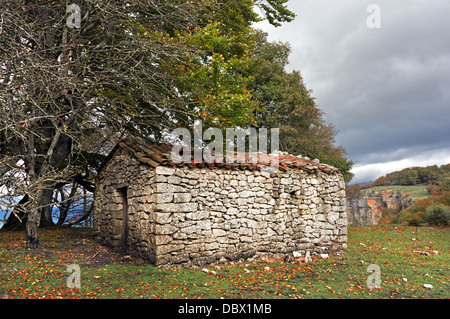 Chalet de montagne en pierre près d'une forêt Banque D'Images