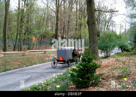 LANCASTER PA TIRÉ PAR DES CHEVAUX SUR BUGGY AMISH COUNTRY ROAD IN SPRING Banque D'Images