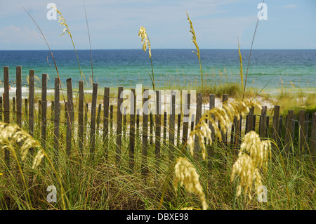 L'avoine mer paysage plage Banque D'Images