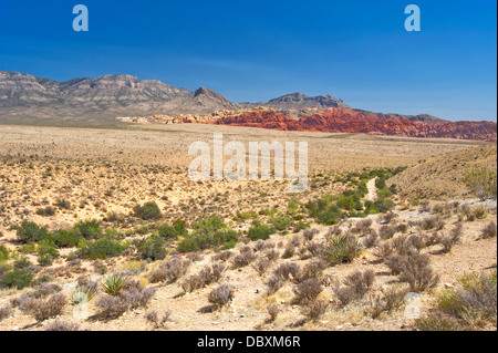 Red Rock Canyon National Conservation Area, Nevada Banque D'Images