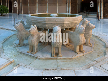 Les douze lions fontaine du Patio de los Leones, quelques jours après la première livraison de l'eau, après plus de 10 ans de res Banque D'Images