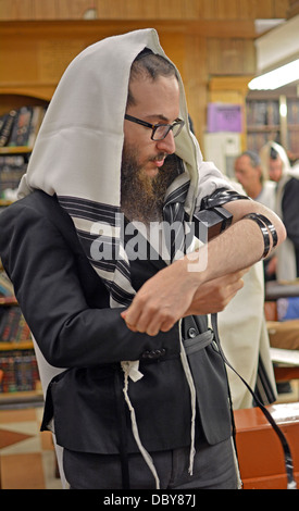 L'homme juif religieux mettant sur phylactères - teffilin - au matin au siège de Loubavitch services à Brooklyn, New York. Banque D'Images