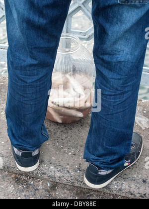 Des poissons fraîchement pêchés, le pont de Galata, Istanbul, Turquie Banque D'Images