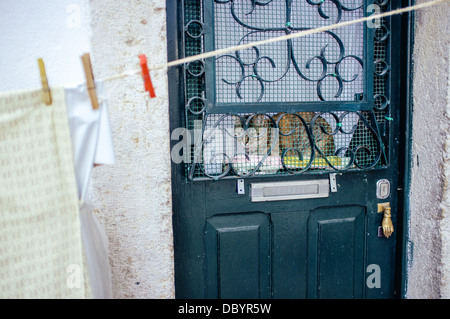 Un chat se repose derrière la porte avant d'une maison dans le quartier d'Alfama, Lisbonne, avec des vêtements à sécher suspendus à l'extérieur. Banque D'Images