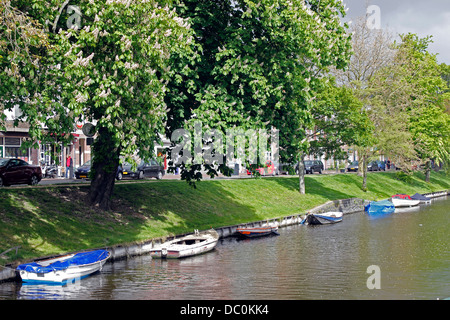 Haarlem Pays-Bas Europe petits bateaux sur canal Banque D'Images