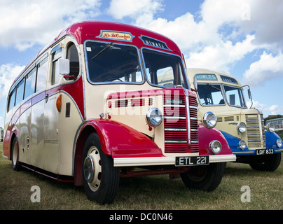 Bedford OB Vintage entraîneurs lors d'une foire à vapeur en Angleterre Banque D'Images