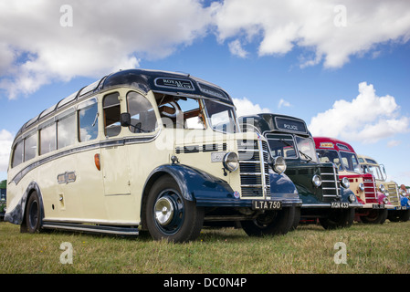 Bedford OB Vintage entraîneurs lors d'une foire à vapeur en Angleterre Banque D'Images