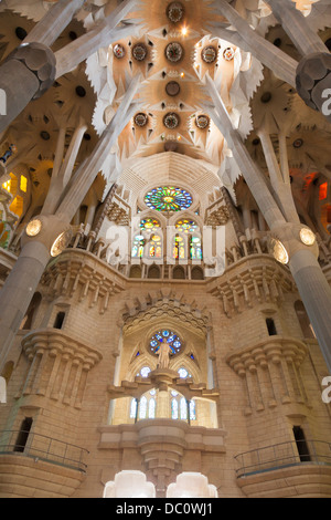 Jusqu'à dans la salle voûtée plafond décoratif de la cathédrale Sagrada Familia. Banque D'Images