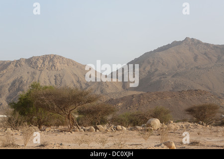 Une vue sur le paysage montagneux de la Al Hajar Mountains dans la péninsule de Musandam Oman vu de près de terre. Banque D'Images