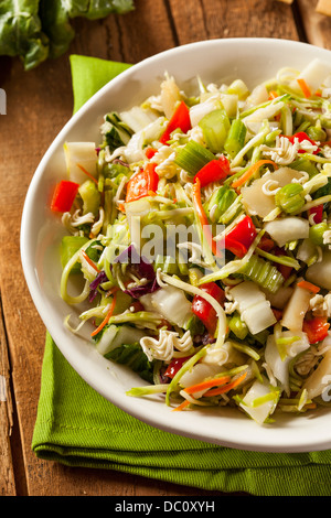 Le Bok Choy et asiatique salade dans un bol de Ramen Banque D'Images