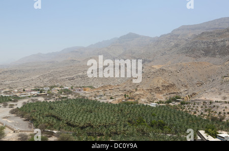 Vue d'un dattier ferme et le paysage montagneux de la péninsule de Musandam vu du haut de la Fort Dhayah. Banque D'Images