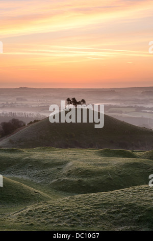 Colmer's Hill, dans le Dorset, au lever du soleil sur un misty tôt le matin au début du printemps. Banque D'Images