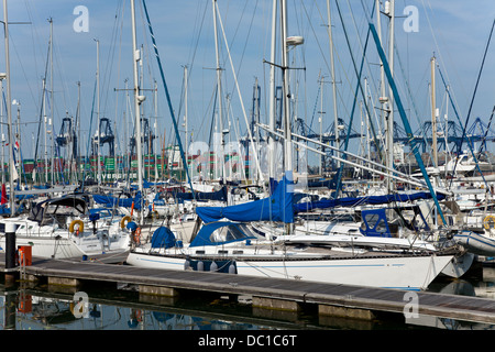 Yachts amarrés dans Shotley Marina, Suffolk Felixstowe port à conteneurs, avec en arrière-plan. Banque D'Images