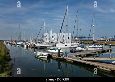 Yachts amarrés dans Shotley Marina, Suffolk Felixstowe port à conteneurs, avec en arrière-plan. Banque D'Images