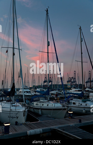 Yachts amarrés dans Shotley Marina, Suffolk Felixstowe port à conteneurs, avec en arrière-plan. Banque D'Images