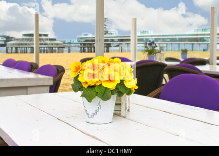 Le printemps sur la côte. Fleurs sur la table dans un café de la rue de La Haye. Pays-bas (Den Haag). Banque D'Images