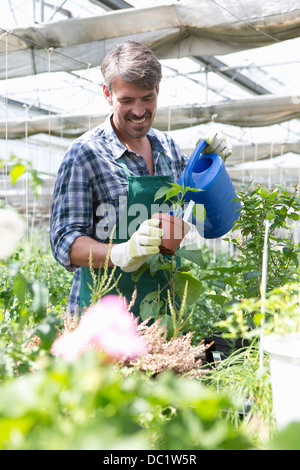 Arroser les plantes jeunes agriculteurs biologiques Banque D'Images