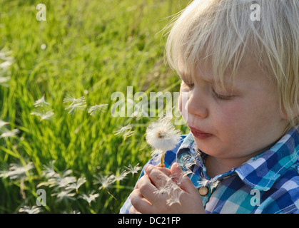 Boy blowing dandelion clock, Close up Banque D'Images