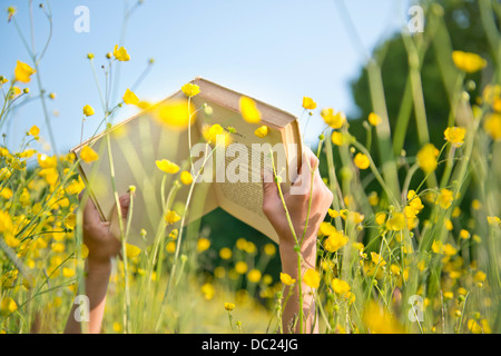 Cropped shot of woman's hands holding livre dans l'herbe haute Banque D'Images