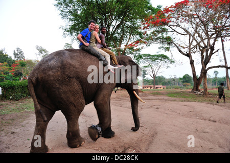 Mahout debout sur le dessus de l'éléphant Banque D'Images