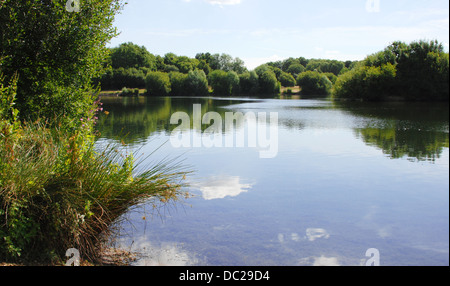 Barden Lake à Haysden Country Park, Tonbridge Banque D'Images