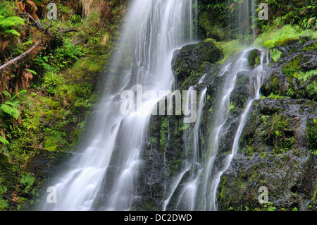 Paysage de forêt tropicale avec cascade, Tasmanie, Australie Banque D'Images