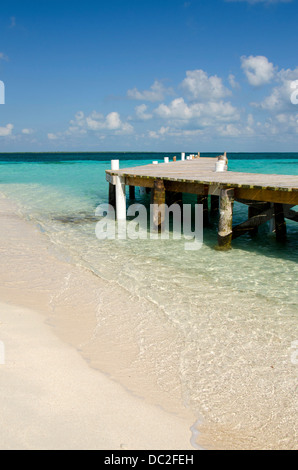 Le Belize, la mer des Caraïbes, Goff Caye. Une petite île au large de la côte de Belize City, Belize le long de la Barrière de Corail. L'UNESCO. Banque D'Images