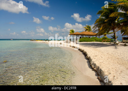 Le Belize, la mer des Caraïbes, Goff Caye. Une petite île au large de la côte de Belize City, Belize le long de la Barrière de Corail. L'UNESCO. Banque D'Images