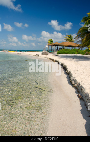 Le Belize, la mer des Caraïbes, Goff Caye. Une petite île au large de la côte de Belize City, Belize le long de la Barrière de Corail. L'UNESCO. Banque D'Images