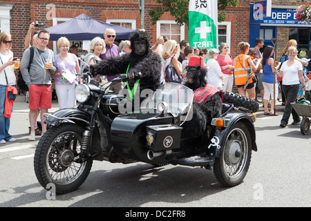 Hampton Wick Festival 2013 - deux interprètes en costumes de gorilles dur un classic motor cycle et side-car. Banque D'Images